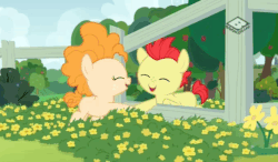 Size: 687x400 | Tagged: safe, screencap, bright mac, pear butter, earth pony, pony, g4, season 7, the perfect pear, animated, baby, baby pony, brightabetes, colt, cute, duo, eyes closed, female, filly, foal, gif, happy, hoofshake, male, pearabetes, ship:brightbutter, shipping, straight, sweet dreams fuel