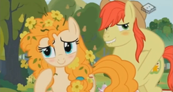 Size: 875x464 | Tagged: safe, screencap, bright mac, pear butter, earth pony, pony, g4, the perfect pear, blushing, boomerang (tv channel), female, flower, lip bite, male, pear tree, ship:brightbutter, shipping, stallion, straight
