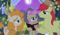 Size: 687x400 | Tagged: safe, screencap, bright mac, burnt oak, cup cake, mayor mare, pear butter, earth pony, pony, g4, the perfect pear, animated, chiffon swirl, female, gif, male, mare, mare in the moon, marriage, moon, non-dyed mayor, planting, seeds, ship:brightbutter, shipping, stallion, straight, wedding