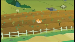 Size: 1280x724 | Tagged: safe, screencap, pear butter, earth pony, pony, g4, the perfect pear, female, mare, solo