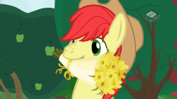 Size: 707x397 | Tagged: safe, screencap, bright mac, pear butter, earth pony, pony, g4, the perfect pear, animated, apple tree, boomerang (tv channel), female, flower, flower in hair, gif, male, ship:brightbutter, shipping, sneezing, stallion, straight, tree