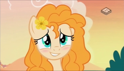 Size: 1245x720 | Tagged: safe, screencap, pear butter, earth pony, pony, g4, the perfect pear, blushing, boomerang (tv channel), cute, female, flower, flower in hair, mare, pearabetes, reaction image, smiling, solo