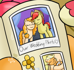 Size: 1280x1200 | Tagged: safe, artist:mkogwheel, apple bloom, applejack, big macintosh, bright mac, pear butter, earth pony, pony, g4, the perfect pear, applejack's parents, crying, female, male, mare, photo album, ship:brightbutter, shipping, stallion, straight, that was fast