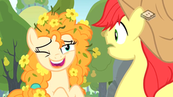 Size: 1024x576 | Tagged: safe, screencap, bright mac, pear butter, earth pony, pony, g4, the perfect pear, boomerang (tv channel), cowboy hat, duo, female, flower, flower in hair, hat, male, mare, ship:brightbutter, shipping, stallion, stetson, straight
