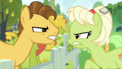 Size: 1024x576 | Tagged: safe, screencap, cinnamon pear, cornice pear, goldie delicious, grand pear, granny smith, earth pony, pony, g4, the perfect pear, boomerang (tv channel), glare, gritted teeth, looking at each other, pear family member, shiny concorde, young goldie delicious, young grand pear, young granny smith, younger