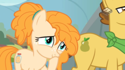 Size: 1024x576 | Tagged: safe, screencap, grand pear, pear butter, pony, g4, the perfect pear, boomerang (tv channel), smiling, younger