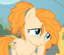 Size: 400x339 | Tagged: safe, screencap, grand pear, pear butter, earth pony, pony, g4, the perfect pear, animated, cropped, cute, gif, laughing, laughingmares.jpg, pearabetes, solo focus