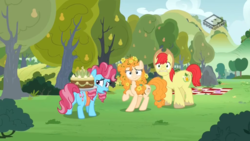 Size: 1024x576 | Tagged: safe, screencap, bright mac, cup cake, pear butter, earth pony, pony, g4, the perfect pear, boomerang (tv channel), cake, female, flower, flower in hair, food, male, mare, pear cake, pear orchard, pear tree, picnic blanket, ship:brightbutter, shipping, stallion, straight
