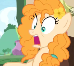Size: 643x576 | Tagged: safe, screencap, pear butter, pony, g4, the perfect pear, boomerang (tv channel), cropped, female, mare, open mouth, shocked, solo, surprised