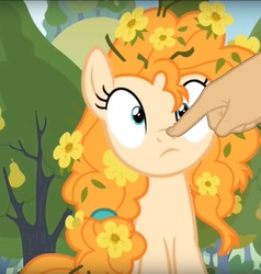 Size: 894x938 | Tagged: safe, edit, edited screencap, screencap, pear butter, pony, g4, the perfect pear, boop, boop edit, cropped, cute, finger, flower, flower in hair, hand, pearabetes