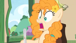 Size: 1024x576 | Tagged: safe, edit, edited screencap, screencap, pear butter, earth pony, pony, g4, the perfect pear, and that's how big mac was made, female, pregnancy test, pregnancy test meme, screaming, solo
