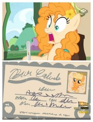 Size: 3106x4096 | Tagged: safe, edit, screencap, applejack, pear butter, earth pony, pony, g4, the perfect pear, babyjack, birth certificate, foal, high res, pregnancy test, screencap comic