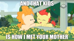 Size: 900x499 | Tagged: safe, edit, edited screencap, screencap, bright mac, pear butter, earth pony, pony, g4, the perfect pear, baby, baby pony, female, hoofbump, how i met your mother, male, ship:brightbutter, shipping, straight