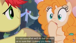 Size: 2001x1125 | Tagged: safe, edit, edited screencap, screencap, bright mac, pear butter, earth pony, pony, g4, the perfect pear, female, implied twilight sparkle, male, meme, ship:brightbutter, shipping, smiling, straight, youtube caption