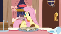Size: 800x454 | Tagged: safe, screencap, fluttershy, pegasus, pony, discordant harmony, g4, season 7, animated, behaving like a dog, boomerang (tv channel), female, flutterdog, gif, silly, silly pony, solo, tongue out