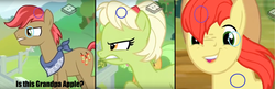 Size: 2376x772 | Tagged: safe, artist:epiccrasher, edit, edited screencap, screencap, apples snack, bright mac, goldie delicious, granny smith, pony, g4, the perfect pear, apple family member, family, headcanon, lazy, ms paint, theory, young granny smith