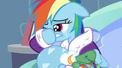 Size: 300x168 | Tagged: safe, screencap, rainbow dash, tank, pegasus, pony, tortoise, g4, tanks for the memories, bathrobe, clothes, crying, cute, daaaaaaaaaaaw, dashabetes, dashie slippers, duo, duo male and female, eyes closed, female, floppy ears, hnnng, mare, raised hoof, sleeping, slippers, tankabetes, wiping