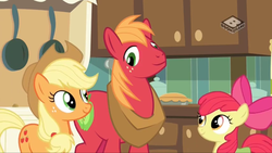 Size: 1920x1080 | Tagged: safe, screencap, apple bloom, applejack, big macintosh, earth pony, pony, g4, the perfect pear, animation error, apple siblings, apple sisters, brother and sister, derp, female, kitchen, male, mare, siblings, sisters, stallion