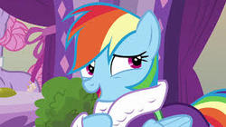 Size: 300x168 | Tagged: safe, screencap, rainbow dash, pony, applejack's "day" off, g4, bathrobe, caught, clothes, robe, solo focus