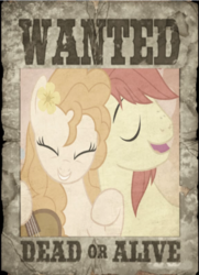 Size: 418x577 | Tagged: safe, bright mac, pear butter, earth pony, pony, g4, the perfect pear, female, male, ship:brightbutter, shipping, straight, wanted poster