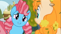 Size: 829x462 | Tagged: safe, screencap, cup cake, pear butter, earth pony, pony, g4, the perfect pear, cake, chiffon swirl, duo, female, flower, flower in hair, food, mare, pear cake