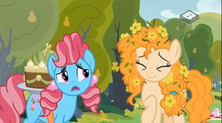 Size: 829x462 | Tagged: safe, screencap, cup cake, pear butter, earth pony, pony, g4, the perfect pear, cake, chiffon swirl, duo, female, flower, flower in hair, food, mare, pear cake, pear tree