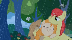 Size: 829x462 | Tagged: safe, screencap, bright mac, pear butter, earth pony, pony, g4, the perfect pear, female, hug, male, rain, ship:brightbutter, shipping, straight