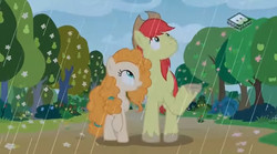 Size: 829x462 | Tagged: safe, screencap, bright mac, pear butter, earth pony, pony, g4, the perfect pear, duo, female, male, mare, pear tree, rain, ship:brightbutter, shipping, spring, stallion, straight