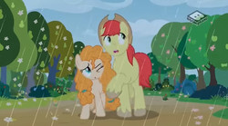 Size: 829x462 | Tagged: safe, screencap, bright mac, pear butter, earth pony, pony, g4, the perfect pear, female, male, pear tree, rain, ship:brightbutter, shipping, spring, straight