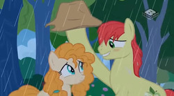 Size: 829x462 | Tagged: safe, screencap, bright mac, pear butter, earth pony, pony, g4, the perfect pear, duo, female, male, mare, rain, ship:brightbutter, shipping, stallion, straight