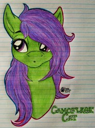 Size: 843x1135 | Tagged: safe, artist:zipperdrawz, oc, oc only, oc:camoflage cat, pony, lined paper, request, solo, traditional art