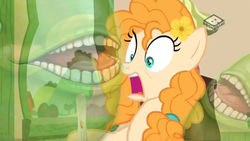 Size: 1024x576 | Tagged: safe, edit, edited screencap, screencap, pear butter, pony, g4, the perfect pear, biting pear of salamanca, boomerang (tv channel), pregnancy test, shocked, wat
