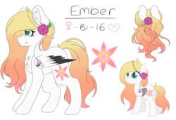 Size: 3000x2048 | Tagged: safe, artist:cinnamontee, oc, oc only, oc:ember (cinnamontee), pegasus, pony, female, high res, mare, reference sheet, simple background, solo, transparent background
