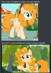 Size: 416x588 | Tagged: safe, edit, edited screencap, screencap, cinnamon pear, pear butter, earth pony, pony, g4, the perfect pear, breaking benjamin, breath, cute, meme, pear family member, song reference