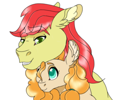 Size: 900x750 | Tagged: safe, artist:bijutsuyoukai, bright mac, pear butter, earth pony, pony, g4, the perfect pear, applejack's parents, female, male, previous generation, ship:brightbutter, shipping, simple background, straight, transparent background