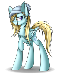 Size: 1600x2010 | Tagged: safe, artist:snowbunny0820, oc, oc only, oc:charles, pegasus, pony, hat, male, raised hoof, simple background, solo, stallion, transparent background