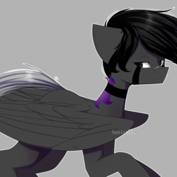 Size: 1280x1280 | Tagged: safe, artist:cupofvanillatea, oc, oc only, oc:zack foster, pegasus, pony, male, simple background, solo, stallion