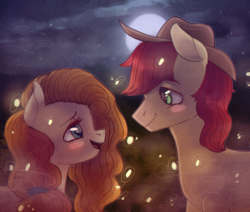 Size: 1984x1680 | Tagged: safe, artist:jeffapegas, bright mac, pear butter, earth pony, firefly (insect), pony, g4, the perfect pear, blushing, eye contact, female, heart eyes, looking at each other, male, mare, moon, night, profile, ship:brightbutter, shipping, smiling, stallion, straight, wingding eyes