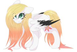 Size: 3000x2048 | Tagged: safe, artist:cinnamontee, oc, oc only, oc:ember (cinnamontee), pegasus, pony, colored pupils, colored wings, female, high res, mare, multicolored wings, simple background, solo, transparent background