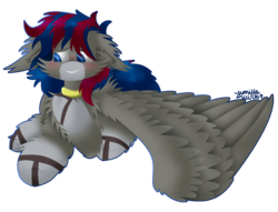Size: 2000x1524 | Tagged: safe, artist:vanillaswirl6, oc, oc only, oc:raven skies, pegasus, pony, blushing, cheek fluff, chest fluff, collar, colored hooves, colored pupils, commission, fluffy, looking down, lying down, male, nervous, outline, prone, raised hoof, signature, simple background, solo, spread wings, stallion, transparent background, wing fluff, wings