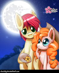 Size: 799x1000 | Tagged: safe, artist:clouddg, bright mac, pear butter, earth pony, pony, g4, the perfect pear, applejack's parents, cowboy hat, female, flower, full moon, hat, husband and wife, male, mare in the moon, moon, night, ship:brightbutter, shipping, smiling, stetson, straight