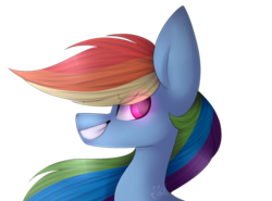 Size: 1024x756 | Tagged: safe, artist:umiimou, rainbow dash, pony, g4, bust, female, portrait, simple background, solo, transparent background