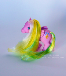 Size: 800x927 | Tagged: safe, curly locks, pegasus, pony, g1, folded wings, irl, photo, solo, tail, wings