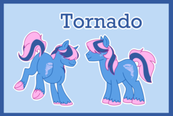 Size: 2772x1869 | Tagged: safe, artist:bakufoon, tornado (g1), pony, g1, g4, g1 to g4, generation leap, male, mountain boy ponies, simple background, solo