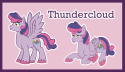 Size: 1024x586 | Tagged: safe, artist:bakufoon, thundercloud (g1), pegasus, pony, g1, g4, female, g1 to g4, generation leap, mountain boy ponies, solo, species swap