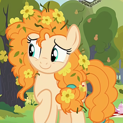 Size: 482x482 | Tagged: safe, screencap, pear butter, earth pony, pony, g4, the perfect pear, boomerang (tv channel), cropped, cute, female, flower, flower in hair, happy, mare, messy hair, pearabetes, raised hoof, smiling, solo