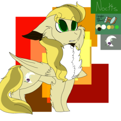 Size: 2560x2560 | Tagged: safe, artist:brokensilence, oc, oc only, oc:noctis, pony, chest fluff, chin fluff, clothes, ear fluff, facial hair, fluffy, goatee, goggles, high res, long tail, reference sheet, simple background, solo