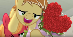 Size: 1061x548 | Tagged: safe, screencap, big macintosh, feather bangs, earth pony, pony, g4, hard to say anything, bouquet of flowers, duo, flower, male, stallion