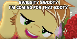 Size: 1066x545 | Tagged: safe, edit, edited screencap, screencap, big macintosh, feather bangs, earth pony, pony, g4, hard to say anything, caption, image macro, male, meme, stallion, swiggity swooty