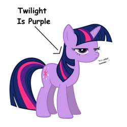 Size: 1200x1200 | Tagged: safe, twilight sparkle, pony, unicorn, g4, annoyed, captain obvious, caption arrow, color, discussion in the comments, female, fourth wall, grumpy, grumpy twilight, lavender, mare, purple, purple smart, simple background, solo, truth, twilight sparkle is not amused, unamused, unicorn twilight, vector, white background